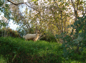 image9 Casali Di Margello