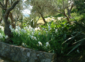 image6 Casali Di Margello