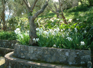 image21 Casali Di Margello