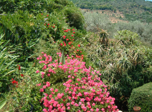 image10 Casali Di Margello