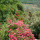 preview image2 esterno