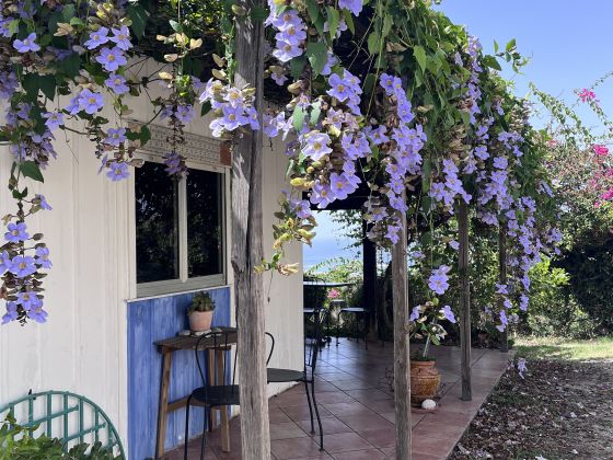 Giardino Di Sicilia - foto 4