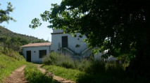 Serre
