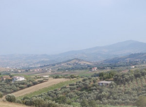 image1 Caniloro 