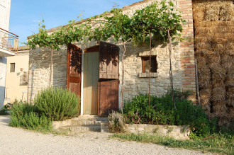 image5 Caniloro 