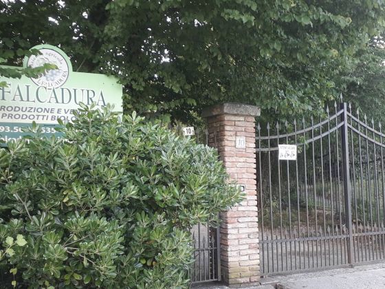 La Falcadura - foto 5