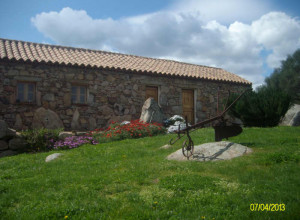 image20 Spridda