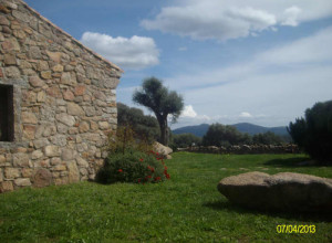 image23 Spridda