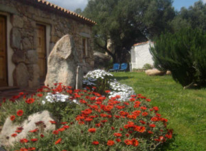 image22 Spridda