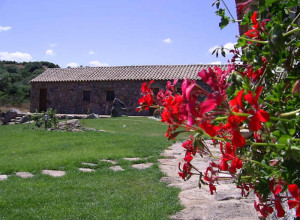 image16 Spridda