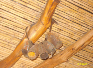 image15 Spridda
