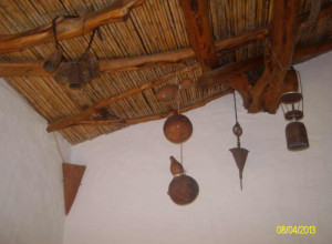 image6 Spridda