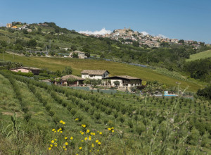 image12 Il Cascinale