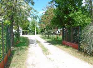 image6 Al Giuggiolo