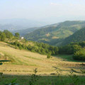 Beneverchio