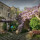 preview image0 esterno