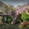 Villa Divina