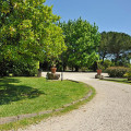 Giòsole