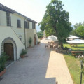 Le Ghiandaie