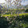 preview image1 zona_relax