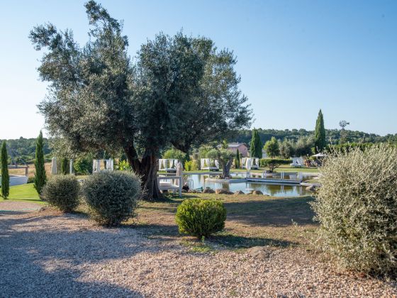 Cerrosughero - foto 22