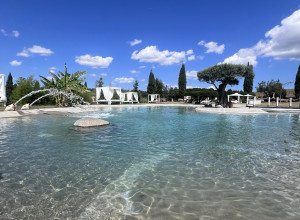 Cerrosughero