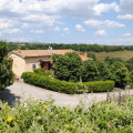 Tenuta Serpepe