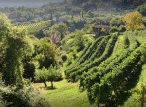 image4 Relais Duca Di Dolle