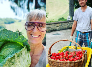 Gestore: Carlotta E Luca