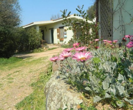 Farm-house Agripaules - Dorgali