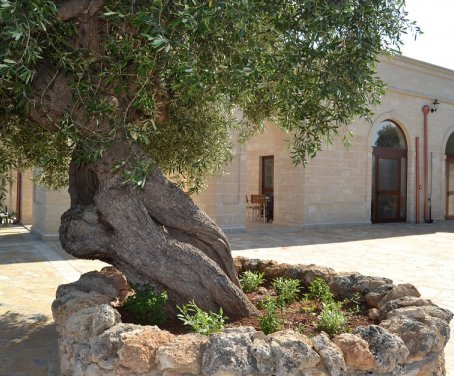 San Leonardo - Puglia