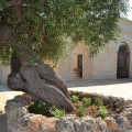San Leonardo