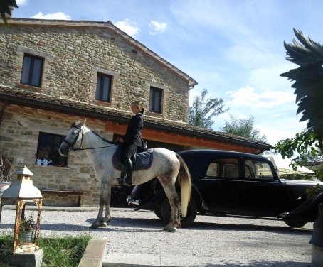 Ferienbauernhof Le Blanc Matou - Macerata Feltria