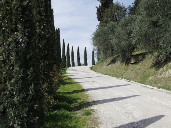 Oasi Di Bacco - foto 10