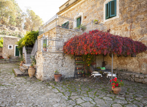 image7 Bannata