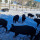 preview image7 animali