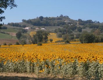 Tenuta Colverano