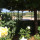 preview image1 giardino