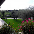 Ripa Del Bosco