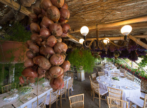 image1 Fattoria Terranova