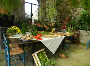 image25 Fattoria Terranova