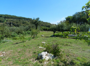 image22 Fattoria Terranova