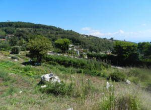 image0 Fattoria Terranova