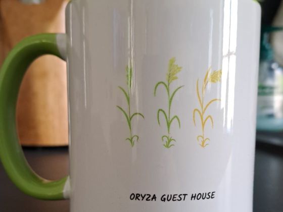 ORYZA GUEST HOUSE - foto 10