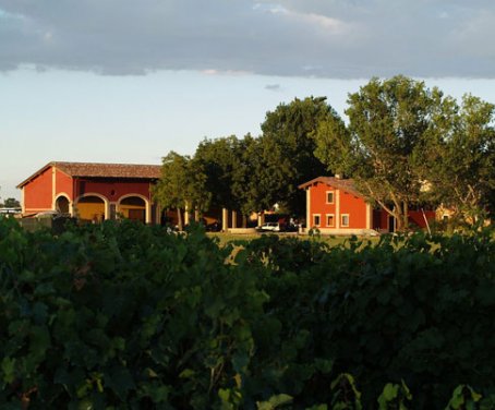 Ferienbauernhof La Corte Della Barchessa - Formigine