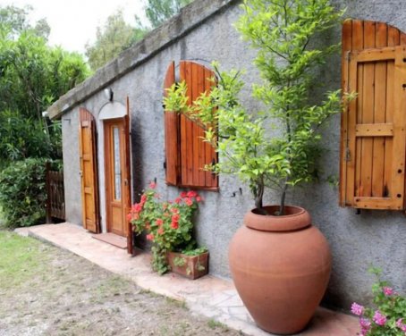 Farm-house Podere Campalto - Campiglia Marittima