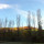 preview image4 dintorni