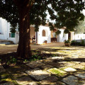 Lama Di Galizia