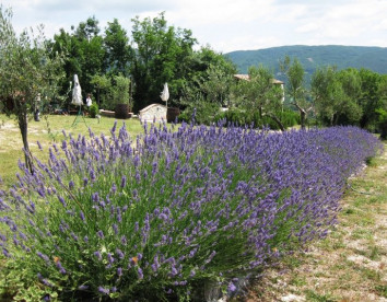 Il Fienile di Orazio