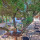 preview image4 esterno